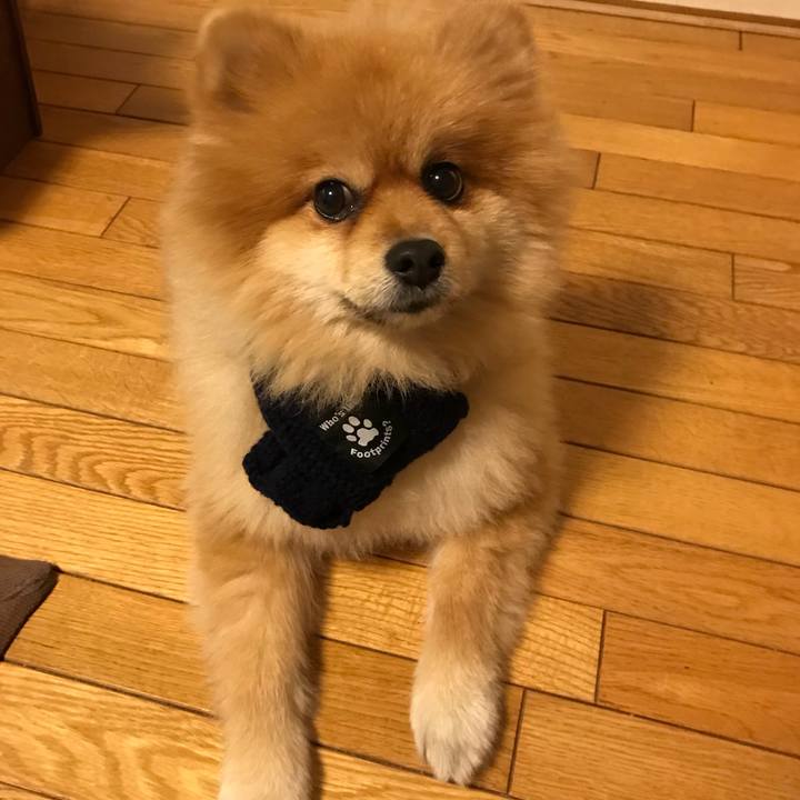 44e2f675 d251 46db a577 c1ff2587e2cf 1511609878231