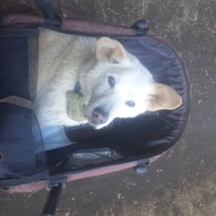 44e2fc3c 7027 41db 8fb3 e02bd33f224b 1515468377588