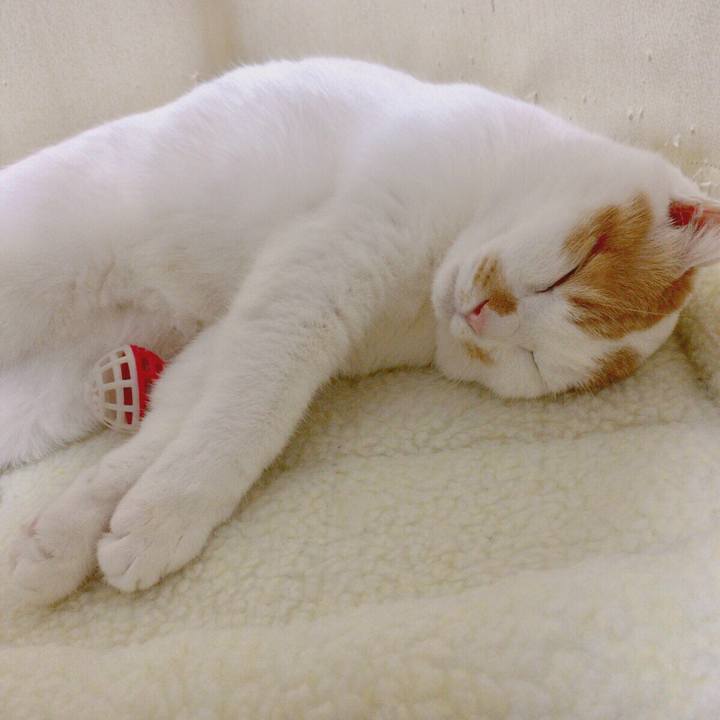 44e3024e cd17 4009 90a2 c417b0be31cb 1510837479086