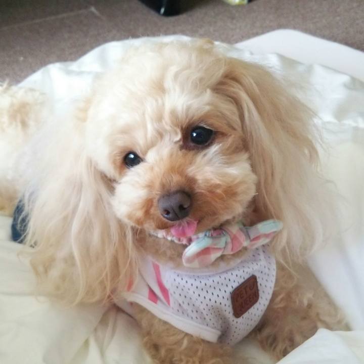 44e303b0 7a53 449e ae9f 7c8e3ee0fdd6 1523537231726