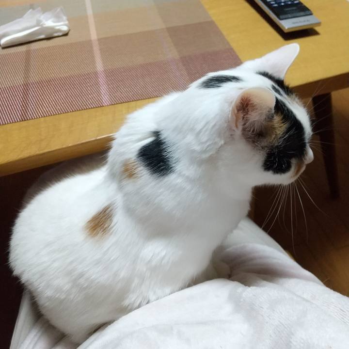 44e31b55 c49c 470f 8f74 2b1408b88890 1681903412273