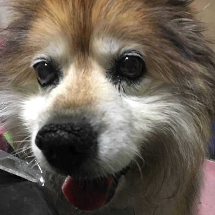 44e3380d f6bb 4c58 8e9e efce3305ec96 1589102496252