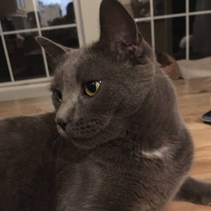 44e35060 ec95 4930 88e2 61d26fe1df41 1655446795825