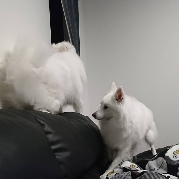 44e39f43 e027 4ef1 b0a5 6543f1e22ec9 1589282230023