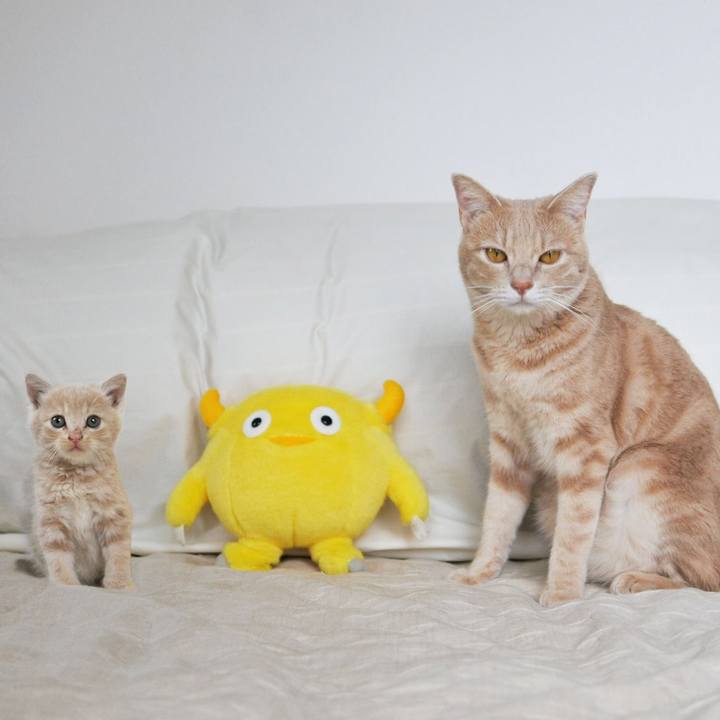 44e3dcf4 1f6e 4e5b 92c9 dd41f7adf6be 1600589581872