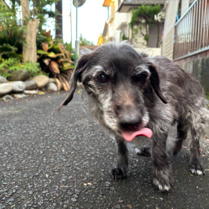 44e3f0fc b577 4ed2 9097 c8351db7456a 1764113070401