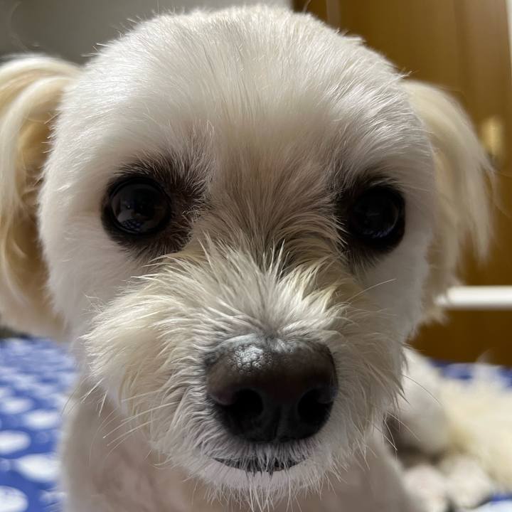 44e3f889 f937 414d a548 785be5371773 1663157784282