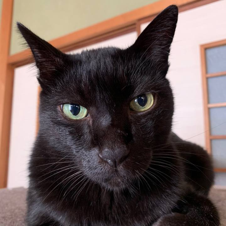 44e43c95 6440 4052 99bc f855295d7aa5 1568423993772