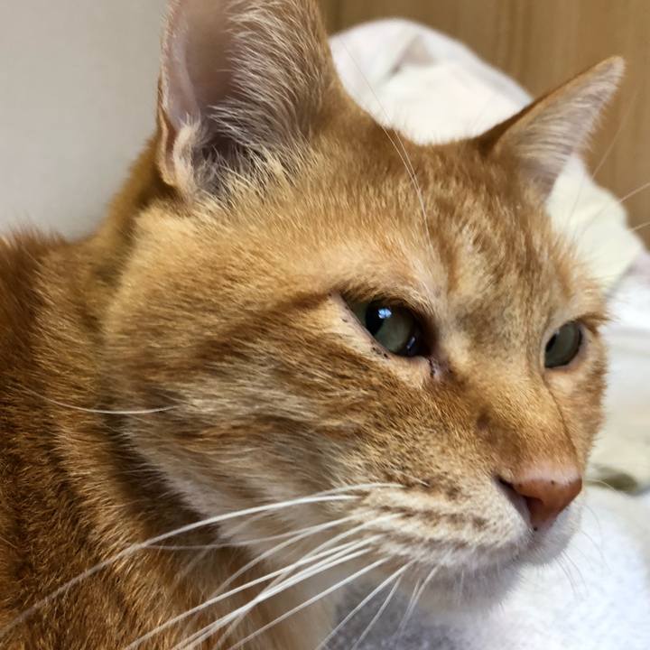 44e45d86 5442 4a22 8096 fb7cef08a49c 1603921391168