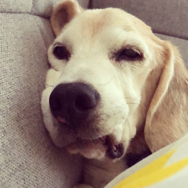 44e48d41 f40c 430e b762 2508c86a6d8d 1595057005769