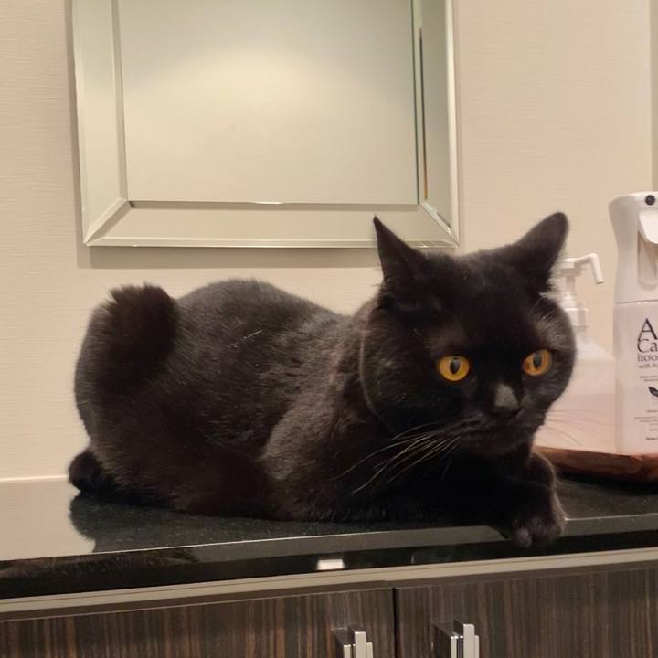 44e4cd92 fd7d 49d4 affe 885d3166ce4f 1618311701805