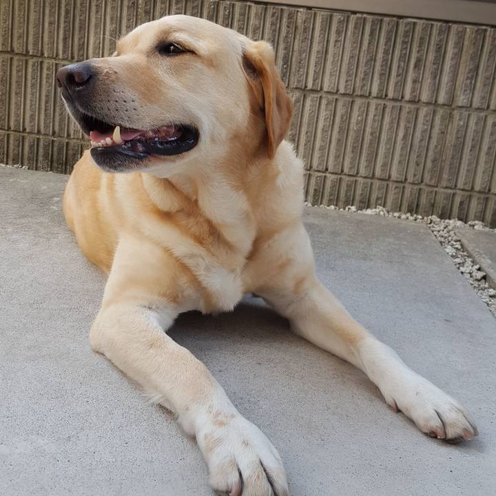 44e4f31c 3408 4261 ba16 88ccd005ddb6 1526352535369