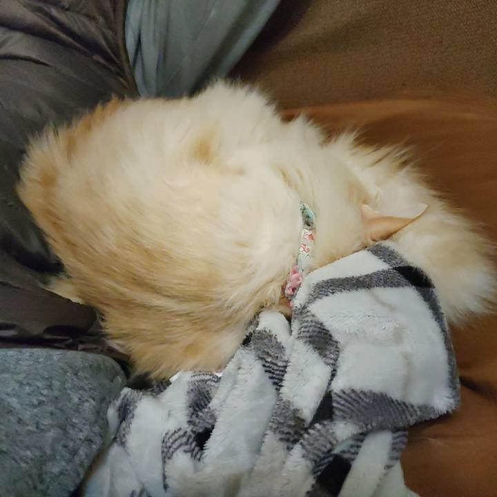 44e50855 43db 4b80 a2c3 bb5fd3a99f45 1706959666861