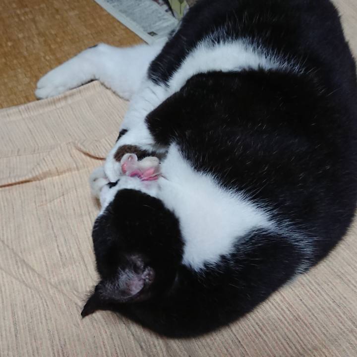 44e50a48 1283 4370 a5b5 dea85becacbd 1629455342744