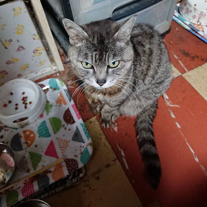 44e56cfc 379c 4dc6 a68e 30a8c33ff1f5 1589956501503