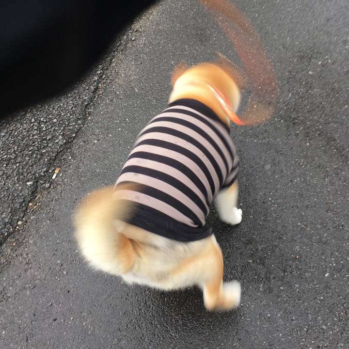 44e595b4 e06a 499b 819a 23c22fb78bae 1577674583616