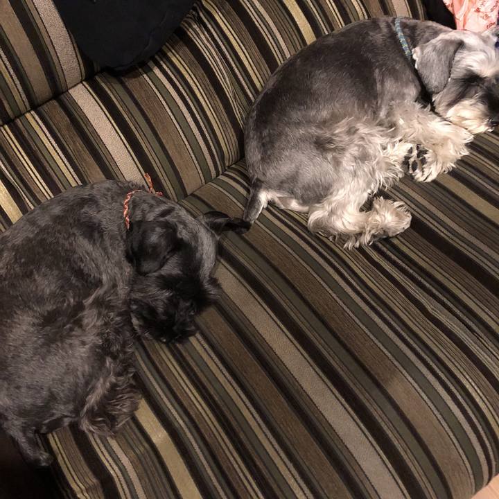 44e5b6e1 381c 4542 a84f 3c762a956d9a 1543751032677