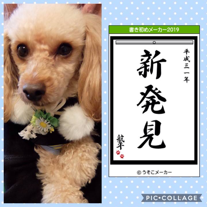 44e5c3f7 2334 4d66 afd2 e5f51a184814 1546388797659