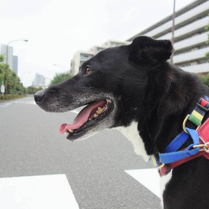 44e5cbe1 d820 4239 a99c e86384624968 1686788173302