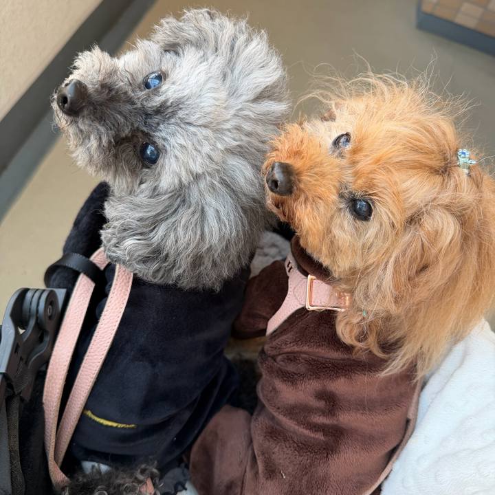 44e5f0d6 7b98 43f6 8881 86c03f9843b5 1773444491096