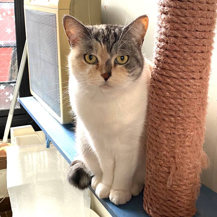 44e611b6 fb2a 4813 b2de 113c948e65cb 1577330514871