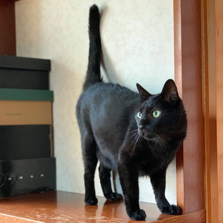 44e64f7f 59f2 4d7f a11e ffba0f4667e2 1599008996623