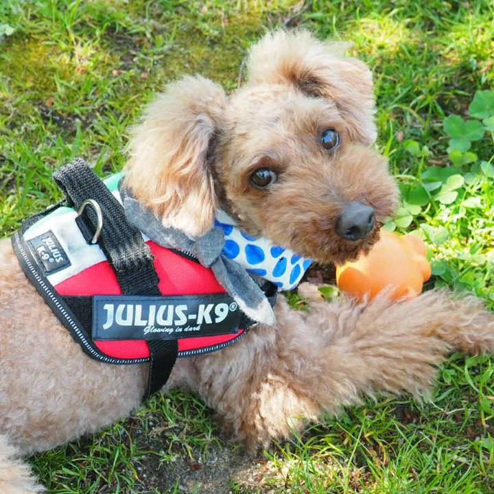 44e67706 d048 432a a250 0ad9a95873b2 1524223179849