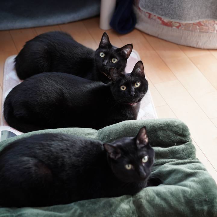 44e67799 2579 4e05 affd 34feb91e6136 1575503837996