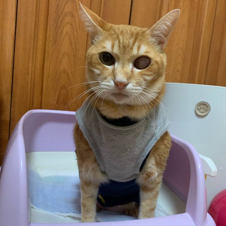 44e686b8 2808 4492 bc0b 3e5ca82eab82 1606127895118