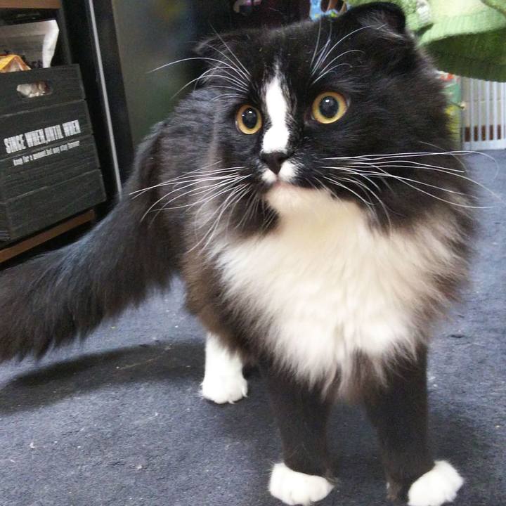 44e6d23a 6dc1 45d2 ba8e fdb617f446ed 1652099751130