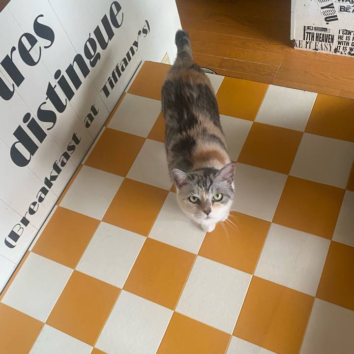 44e6de26 85d8 442d aeb4 da61f7ae015d 1720069784932