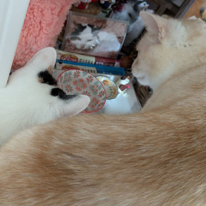 44e6eff1 dbef 4b07 a029 4df32ee731d7 1723515171184