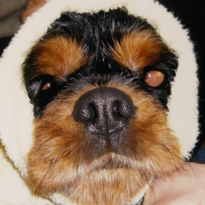 44e70a4c c790 4019 a10c 082b331a2394 1595070561973