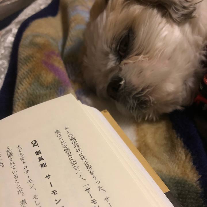 44e7185c f247 4eea 81b7 d245df18435c 1612389166802