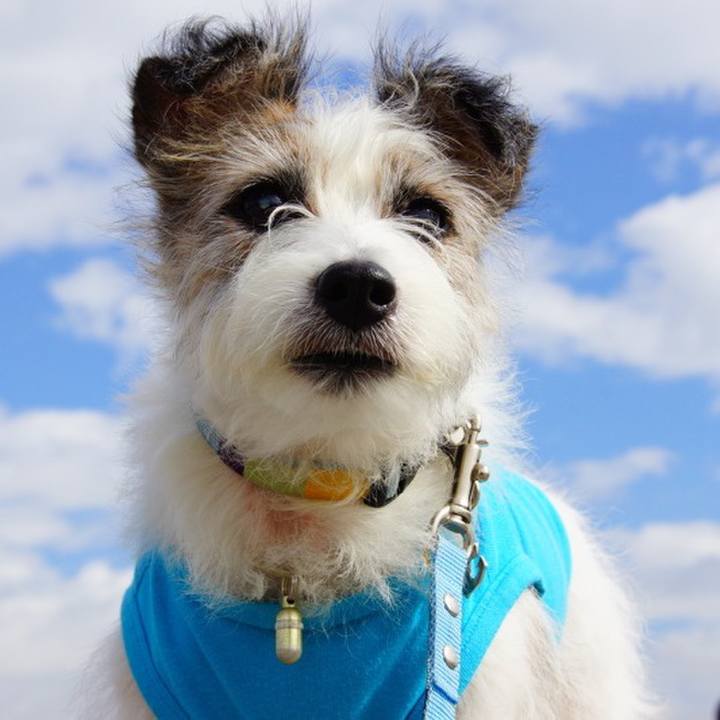 44e72b46 3710 4130 ae15 6470a9908d2f 1599619130615