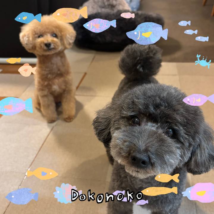 44e75829 33b5 4818 923a 67417ccff3c4 1755253759618