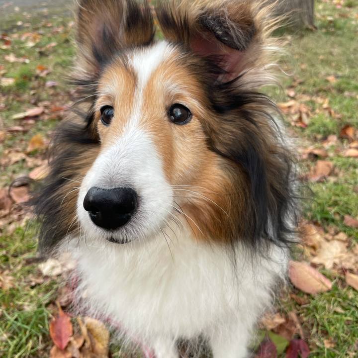 44e77c85 f66c 46cc bbb4 5eaefcddc3a0 1606644406238