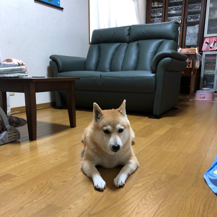 44e7b876 8bd1 4099 a91f 32a5e5bc1ba9 1561372937153