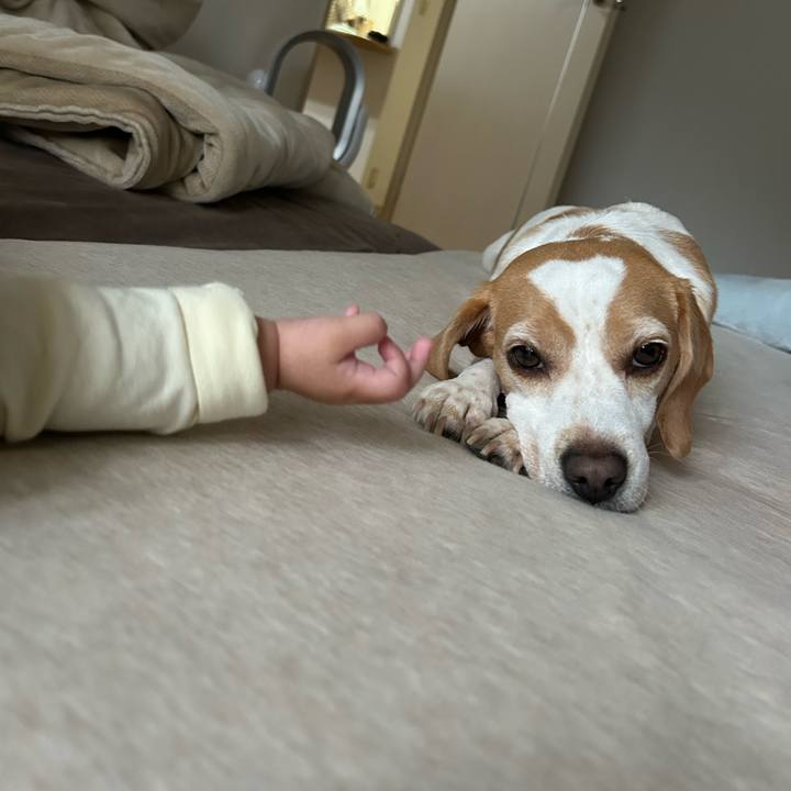 44e7d768 ad73 4009 b7bb f7f7d6f173d5 1697435960731