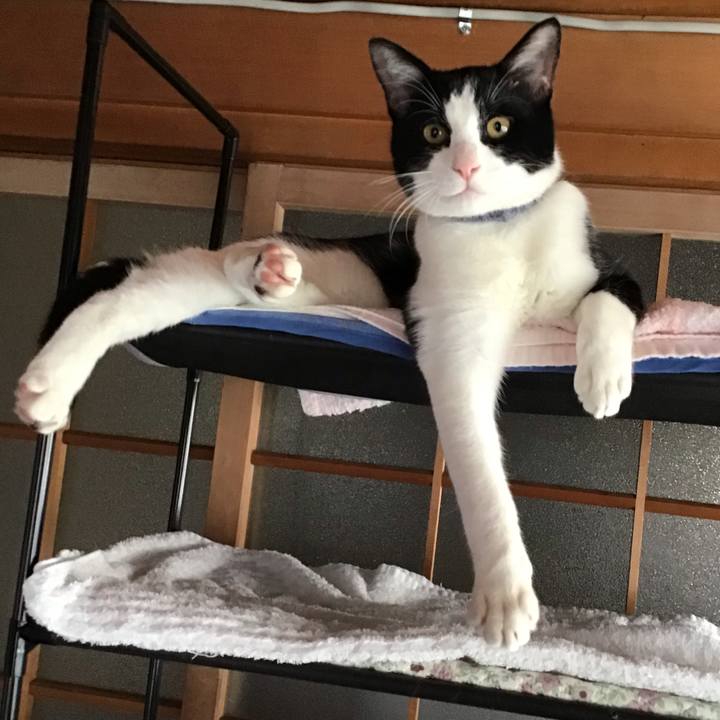 44e7edae 4fbd 4d9d 98b9 f33366de3f61 1636851649769