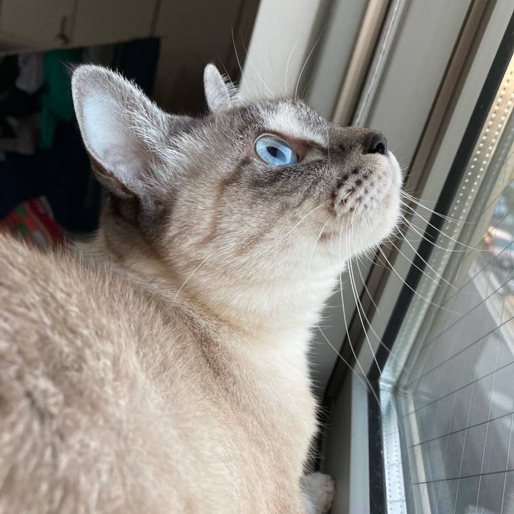 44e7fcb9 340a 4526 81eb 885f184e414a 1606384384326