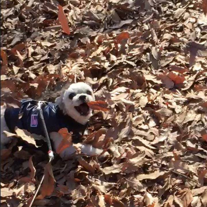 44e8053d 33bd 4841 a570 3273637e599e 1547456183500