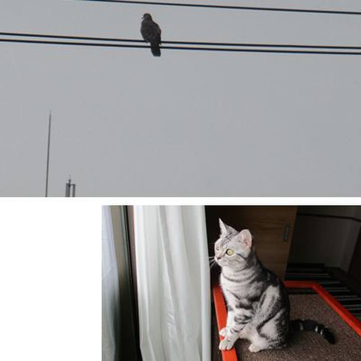 44e8962b 09d4 44de 9303 c309643015b2 1556628736482