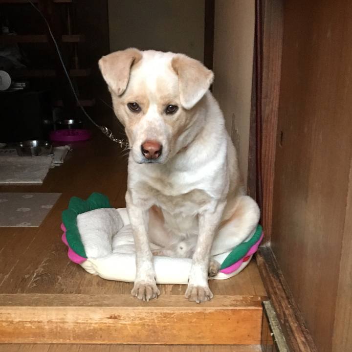 44e8d915 71c4 46d3 bc8b 43e07bf333e7 1517454721445