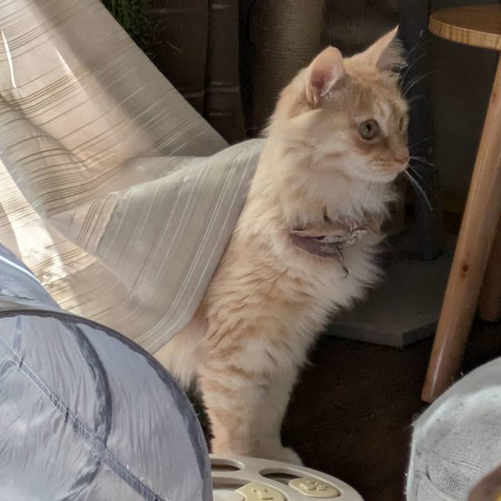 44e8e45d db41 4d94 aadb c691cf5d1cd4 1739678606198