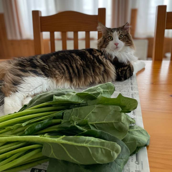 44e8f022 226f 4aa4 b751 d189fd549162 1646518709686