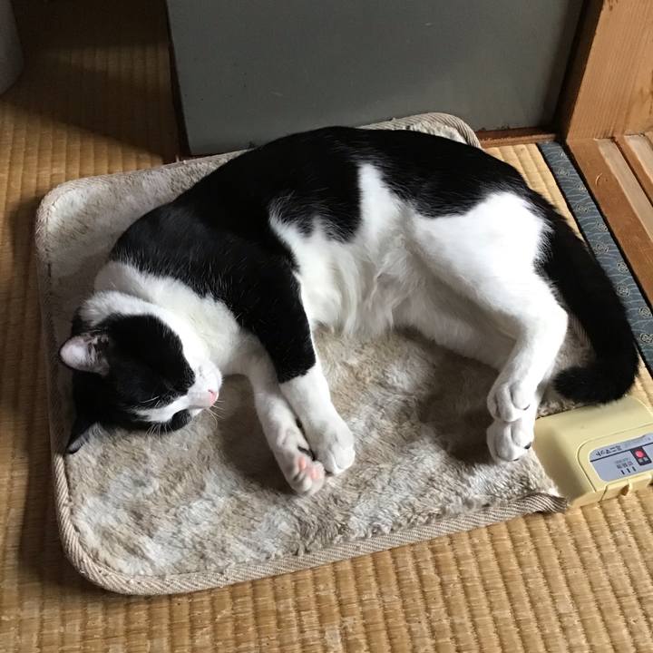 44e90aa0 2ec3 424b 96d1 7b097b0fb9b6 1635657140841