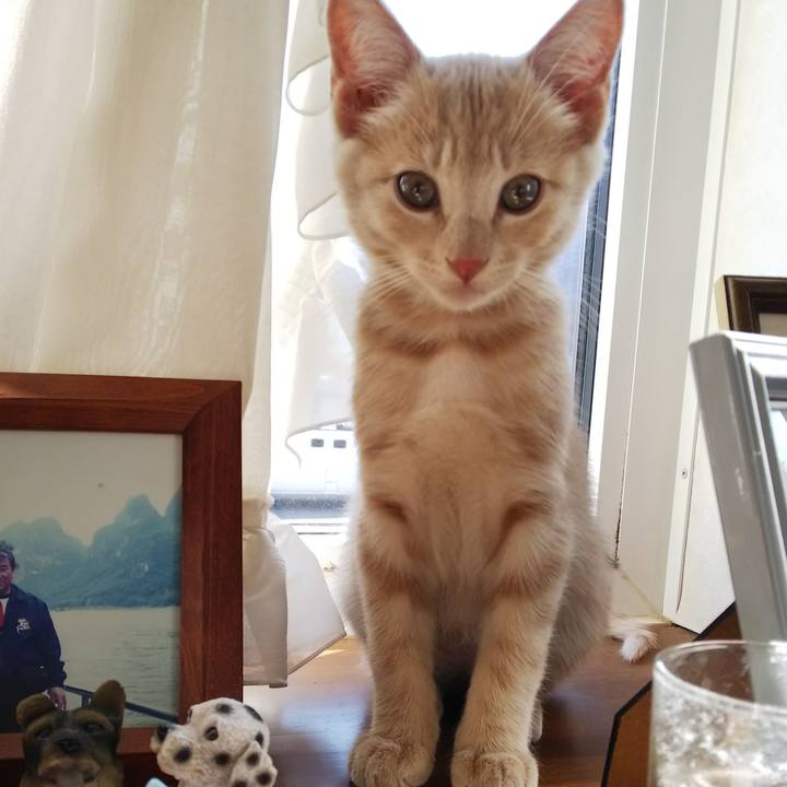 44e93f2f 9632 4854 a895 bccf9d253780 1541729819032