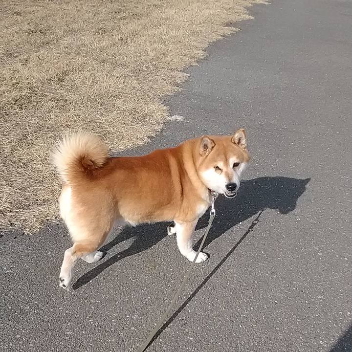 44e94624 af22 4dd5 8445 b79a98ea93e6 1673088599805