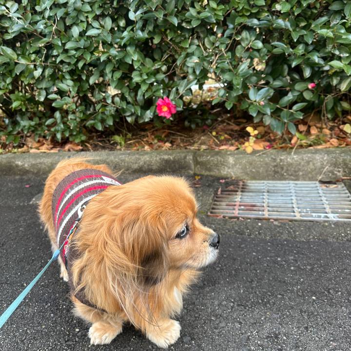 44e94dce de67 4418 b547 0156d0c75530 1736553599607